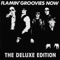 Flamin' Groovies Now - The Deluxe Edition