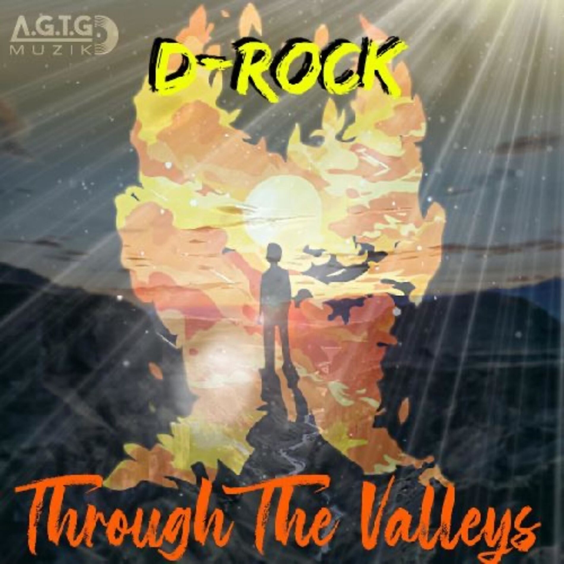 Album cover of Through The Valleys
