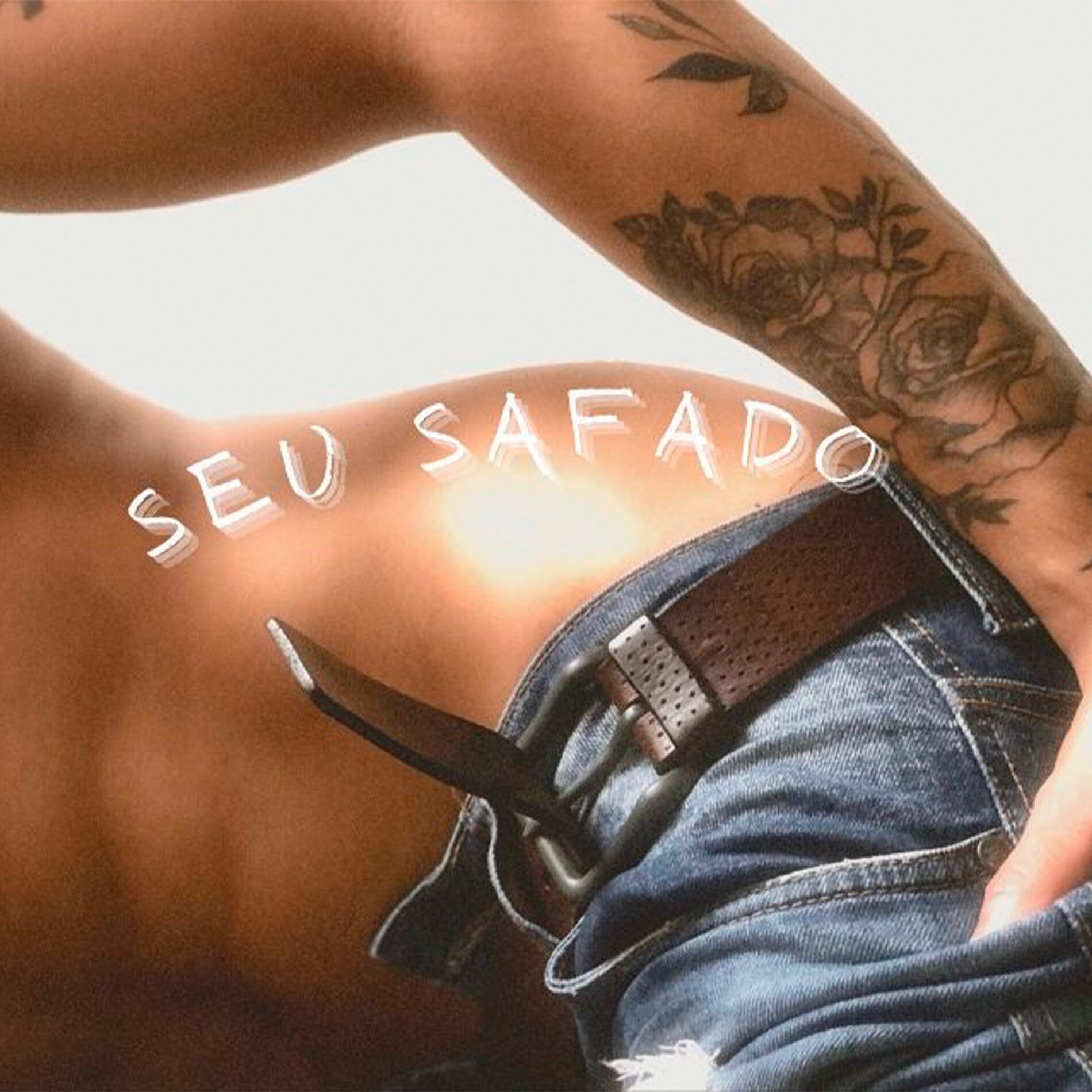 Album cover of Seu Safado
