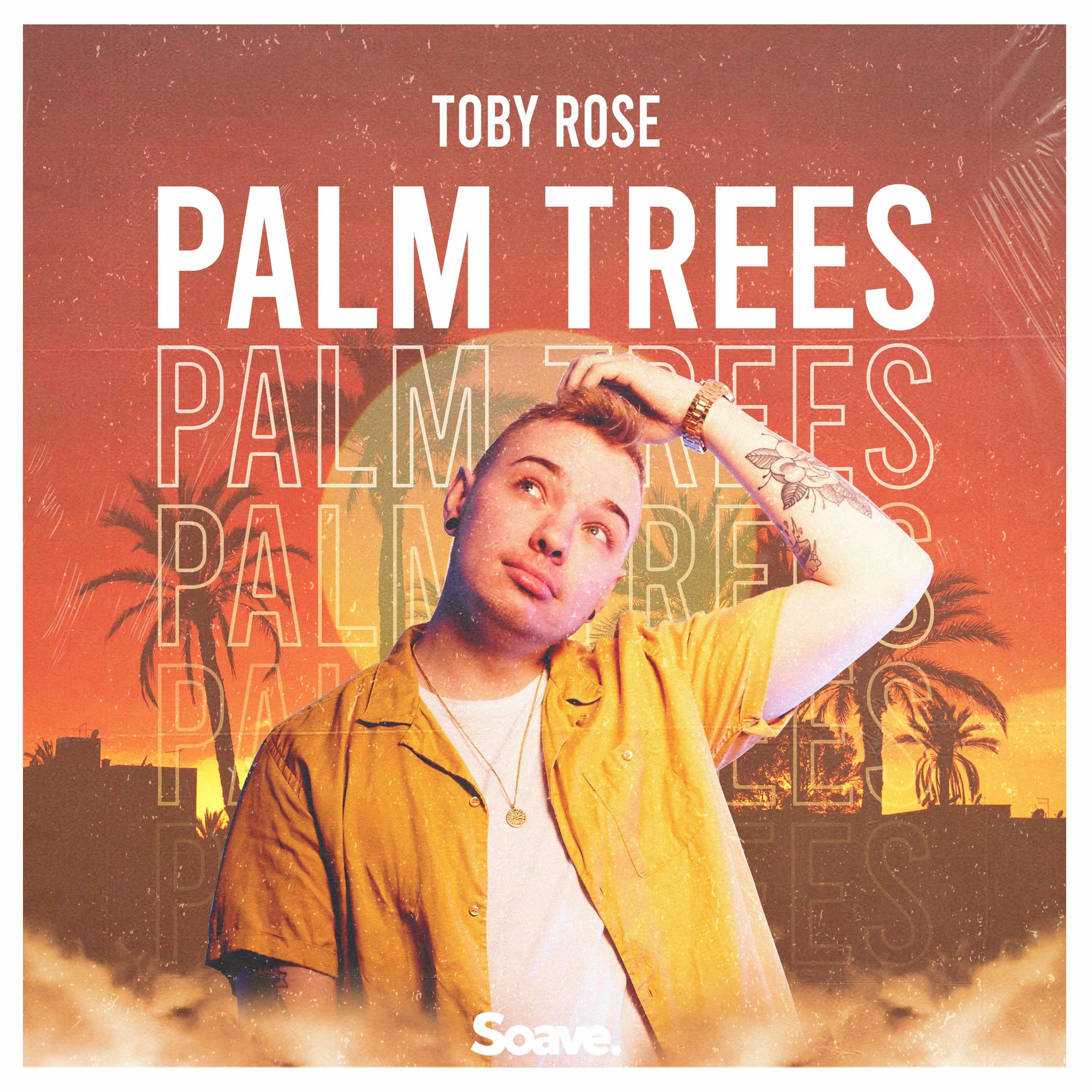 Album cover of Palm Trees