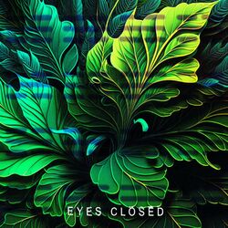 Cover of Eyes Closed