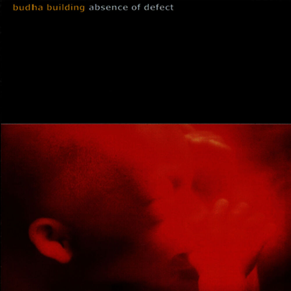 Picture of Absence of Defect