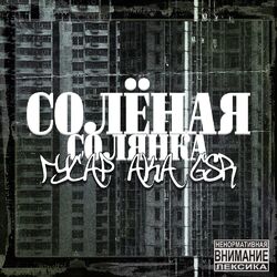 Cover of Солёная солянка