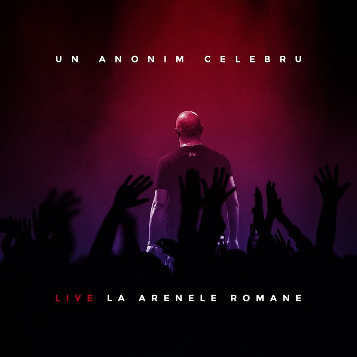 Album cover of Un Anonim Celebru - Live La Arenele Romane