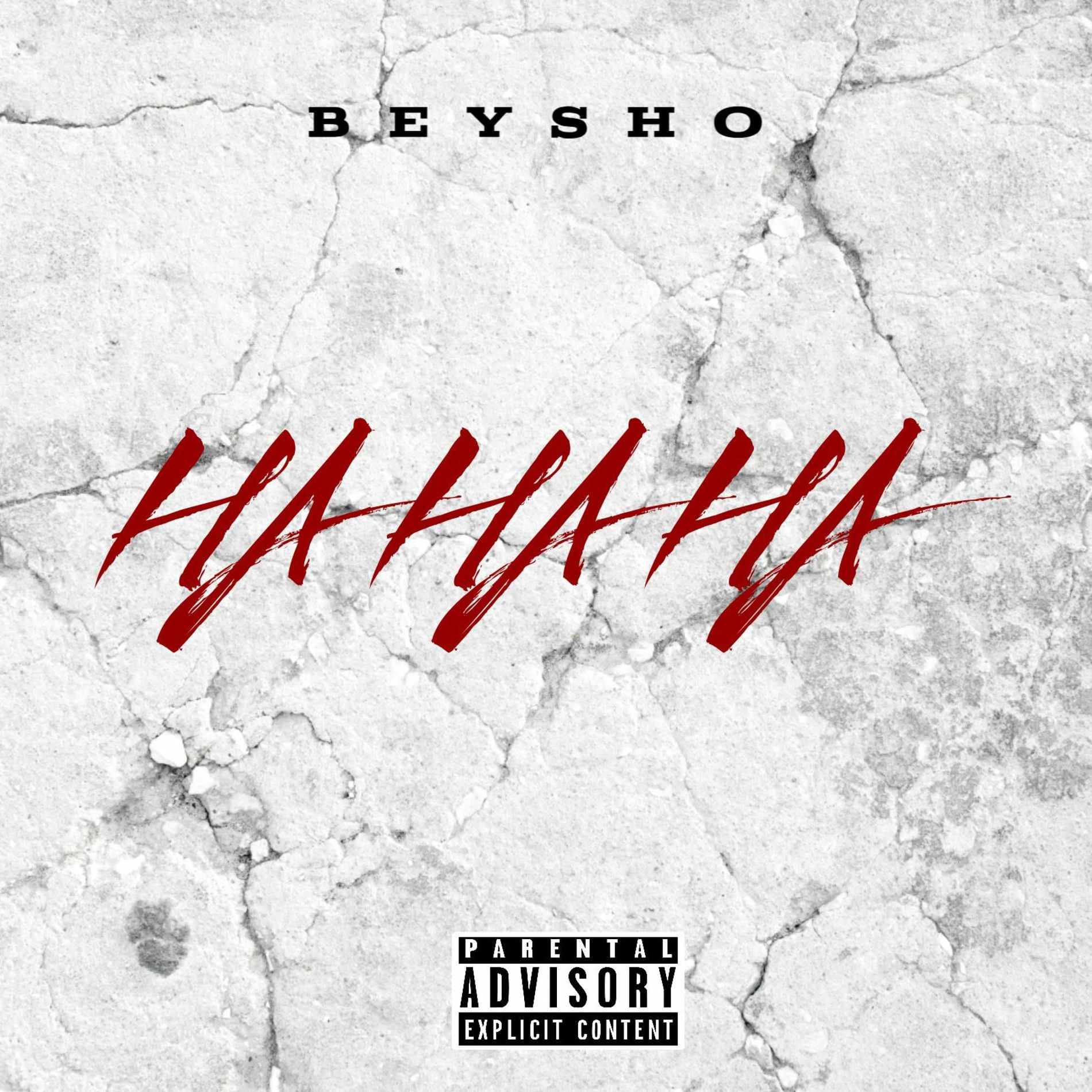 Album cover of HA HA HA