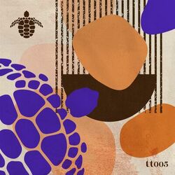 music cover