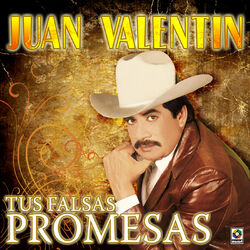 Cover of Tus Falsas Promesas