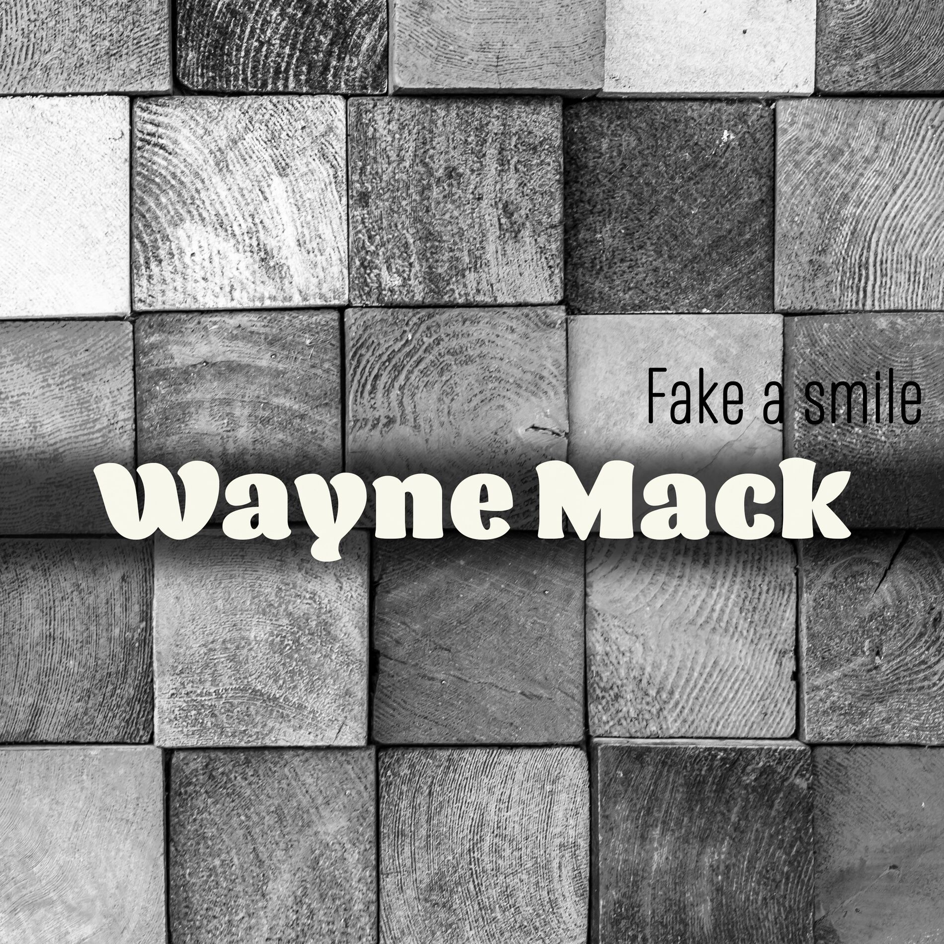 Album cover of Fake a smile