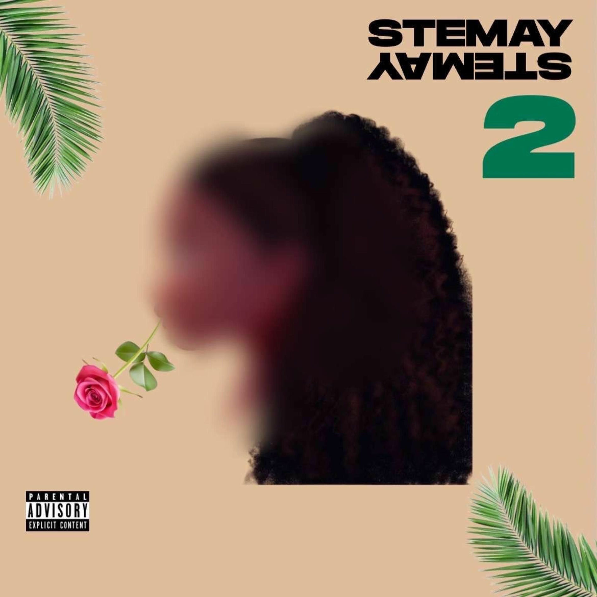 Album cover of STEMAY II