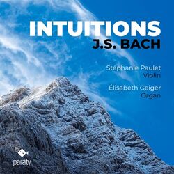 Cover of Intuitions