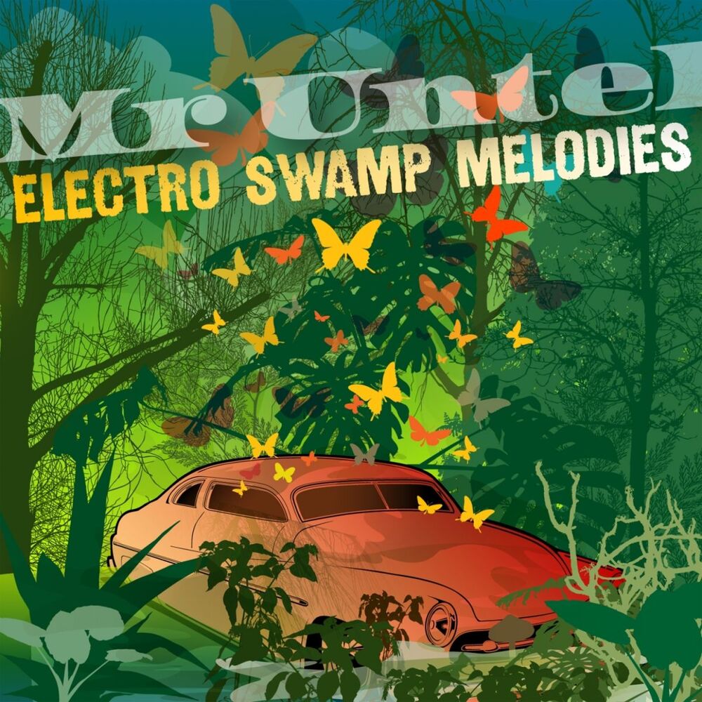 Picture of Electro Swamp Melodies