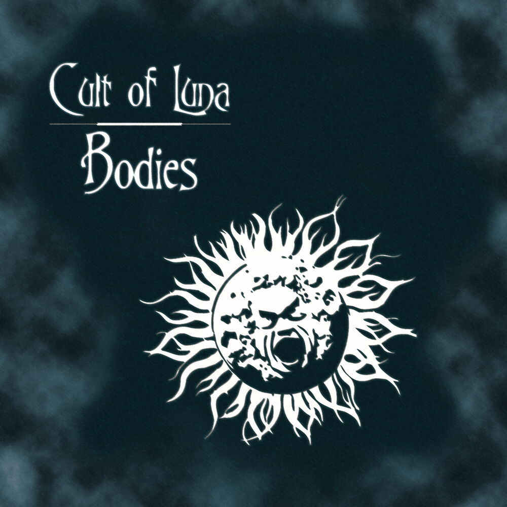 Picture of Bodies/Recluse