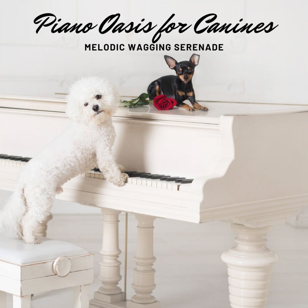 Picture of Piano Oasis for Canines: Melodic Wagging Serenade