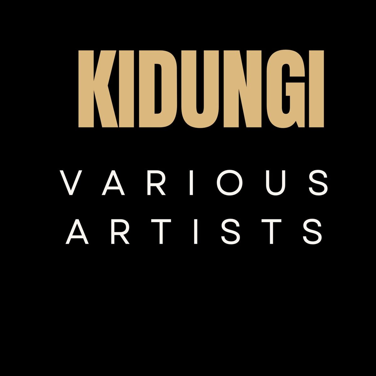 Album cover of Kidungi