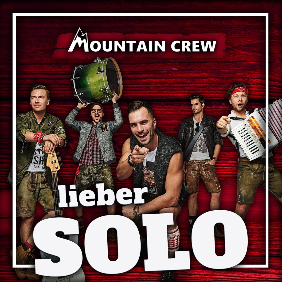 Album cover of Lieber solo