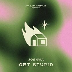 Cover of Get Stupid