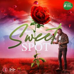 Cover of Sweet Spot