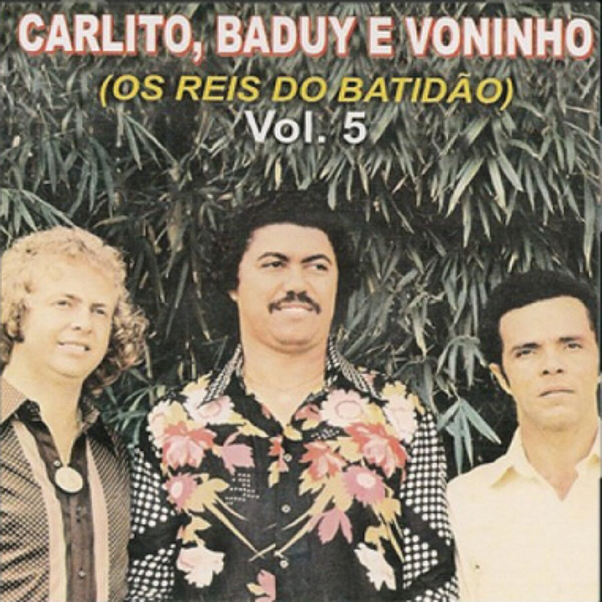 Album cover of Vol.5