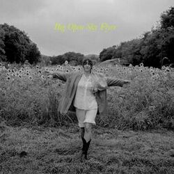 Cover of Big Open Sky Flyer