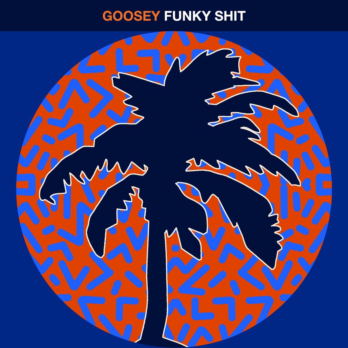 Album cover of Funky Shit