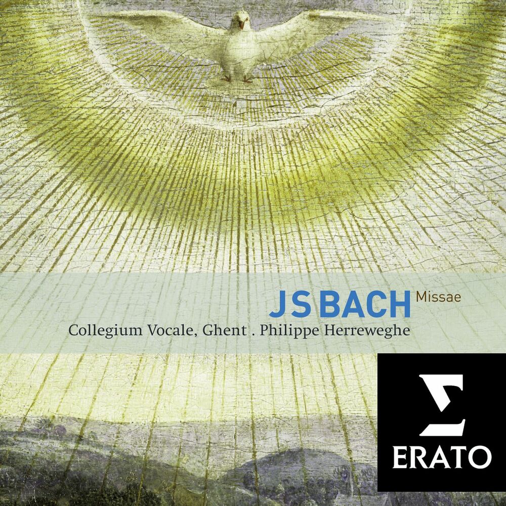 Picture of Bach: Masses, BWV 233 - 235 & Sanctus, BWV 238