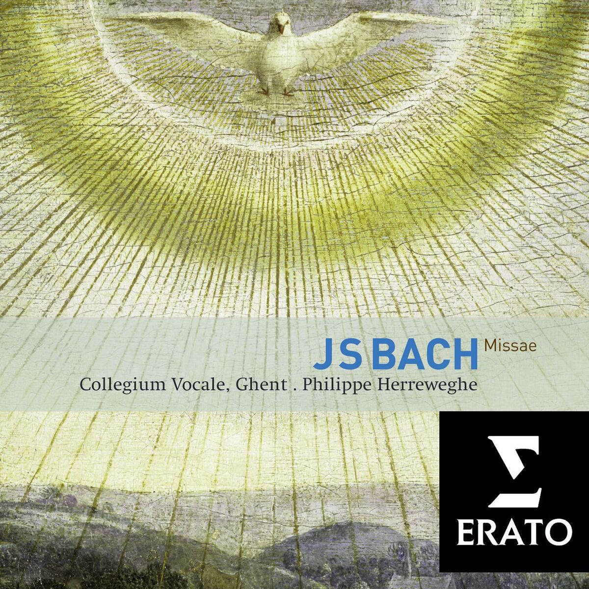 Album cover of Bach: Masses, BWV 233 - 235 & Sanctus, BWV 238