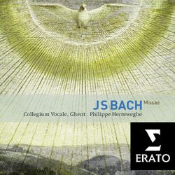 Cover of Bach: Masses, BWV 233 - 235 & Sanctus, BWV 238