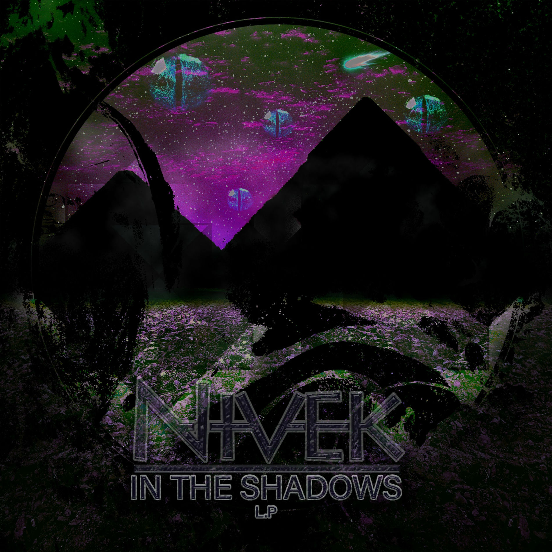 Album cover of In The Shadows