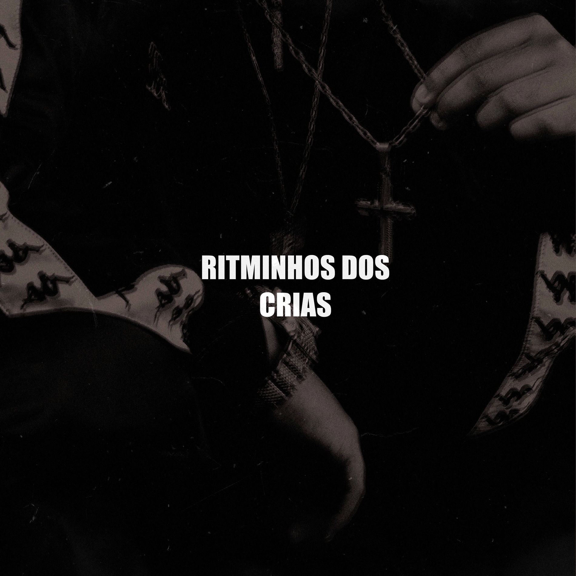 Album cover of RITMINHO DOS CRIA