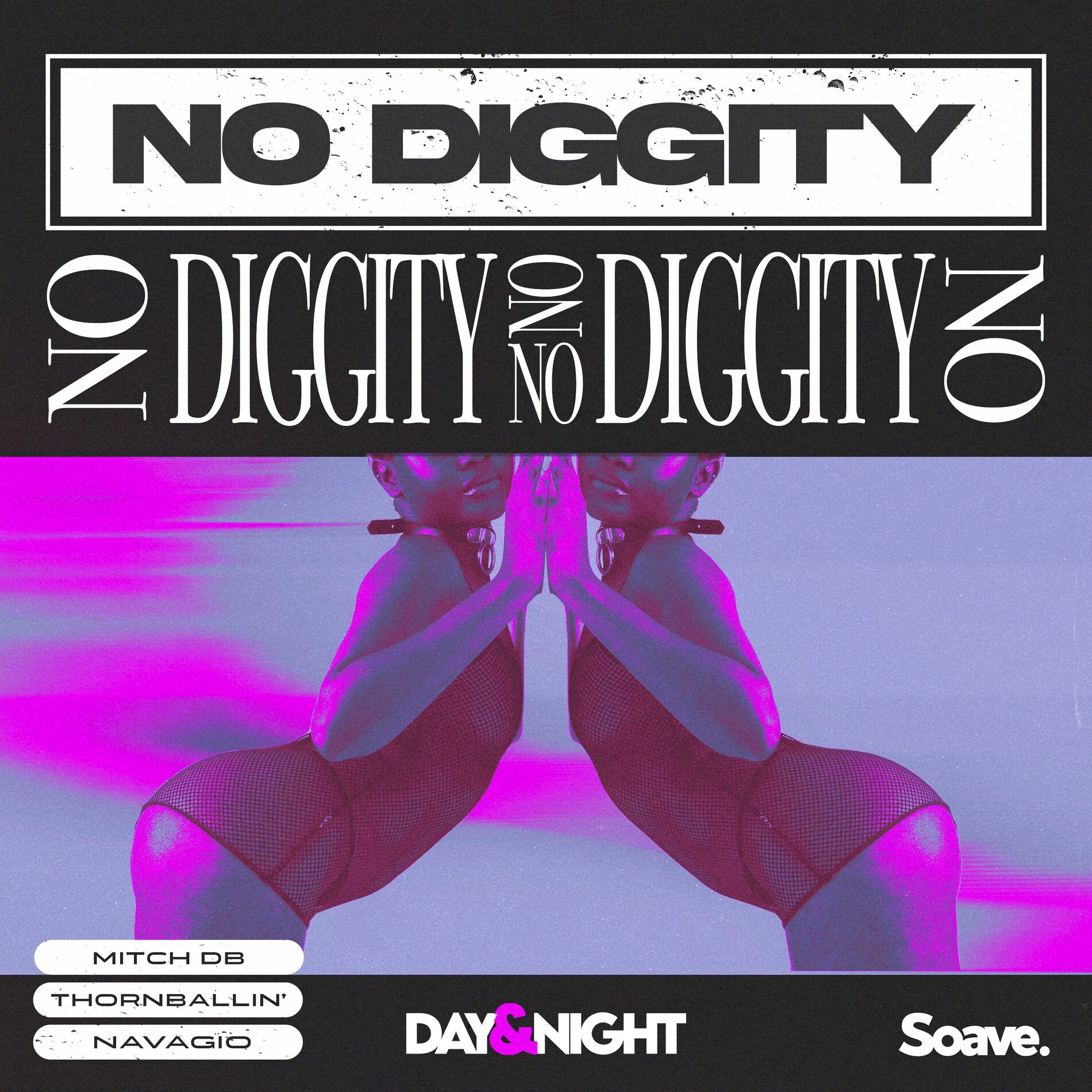 Album cover of No Diggity