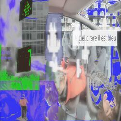 Cover of RAREMENT BLEU