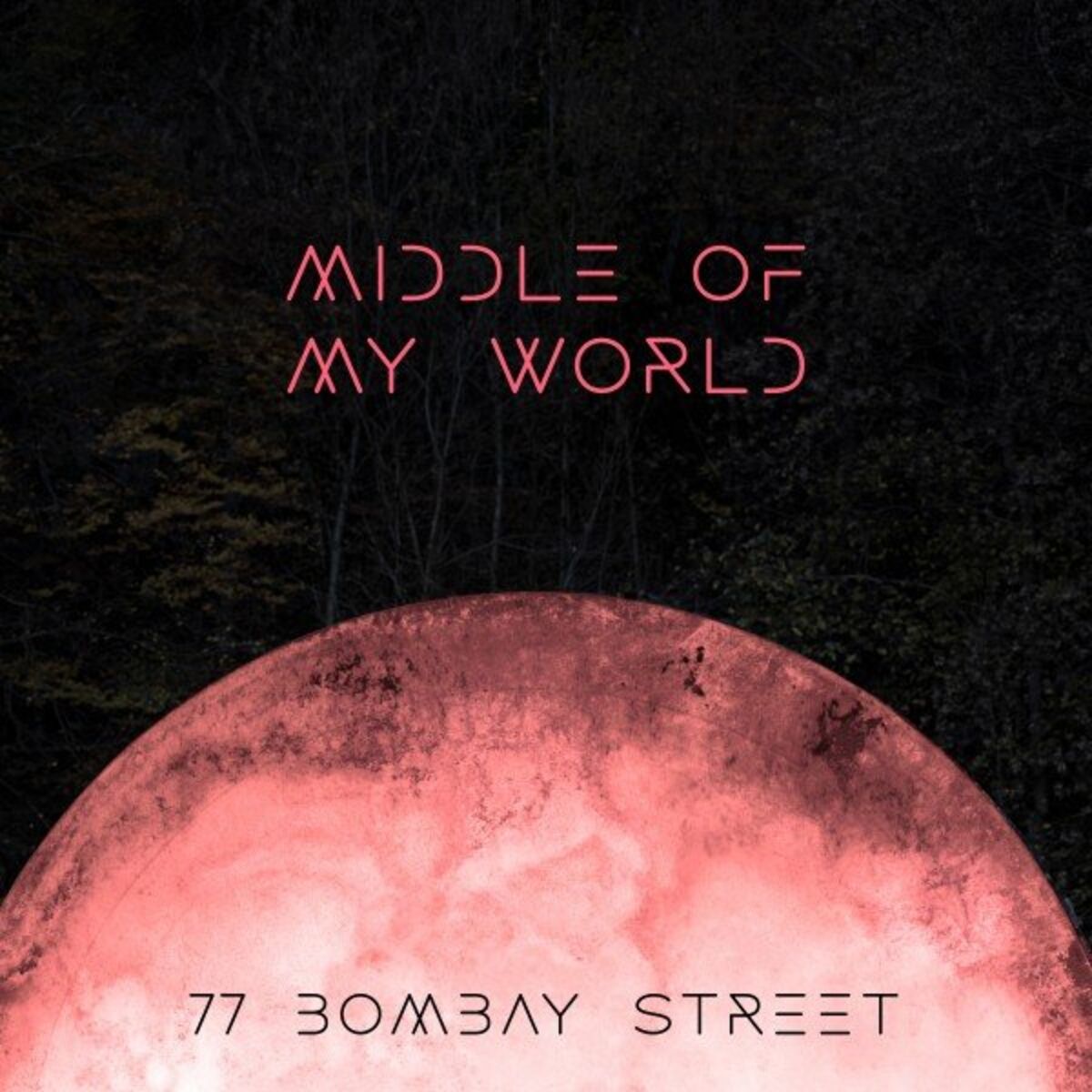 Album cover of Middle of My World