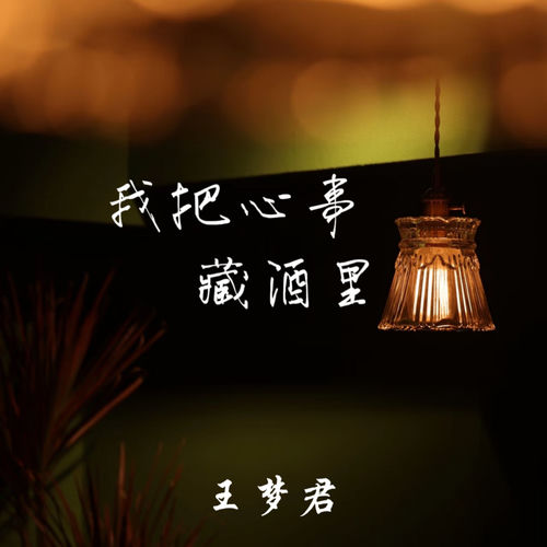 我把心事藏酒里
