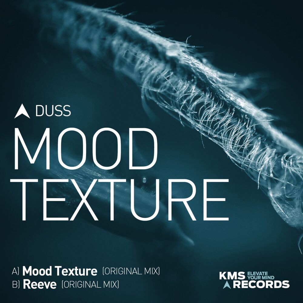 Picture of Mood Texture