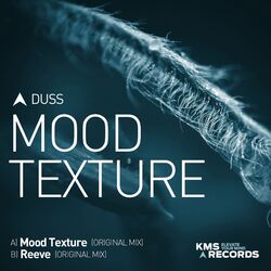 Cover of Mood Texture