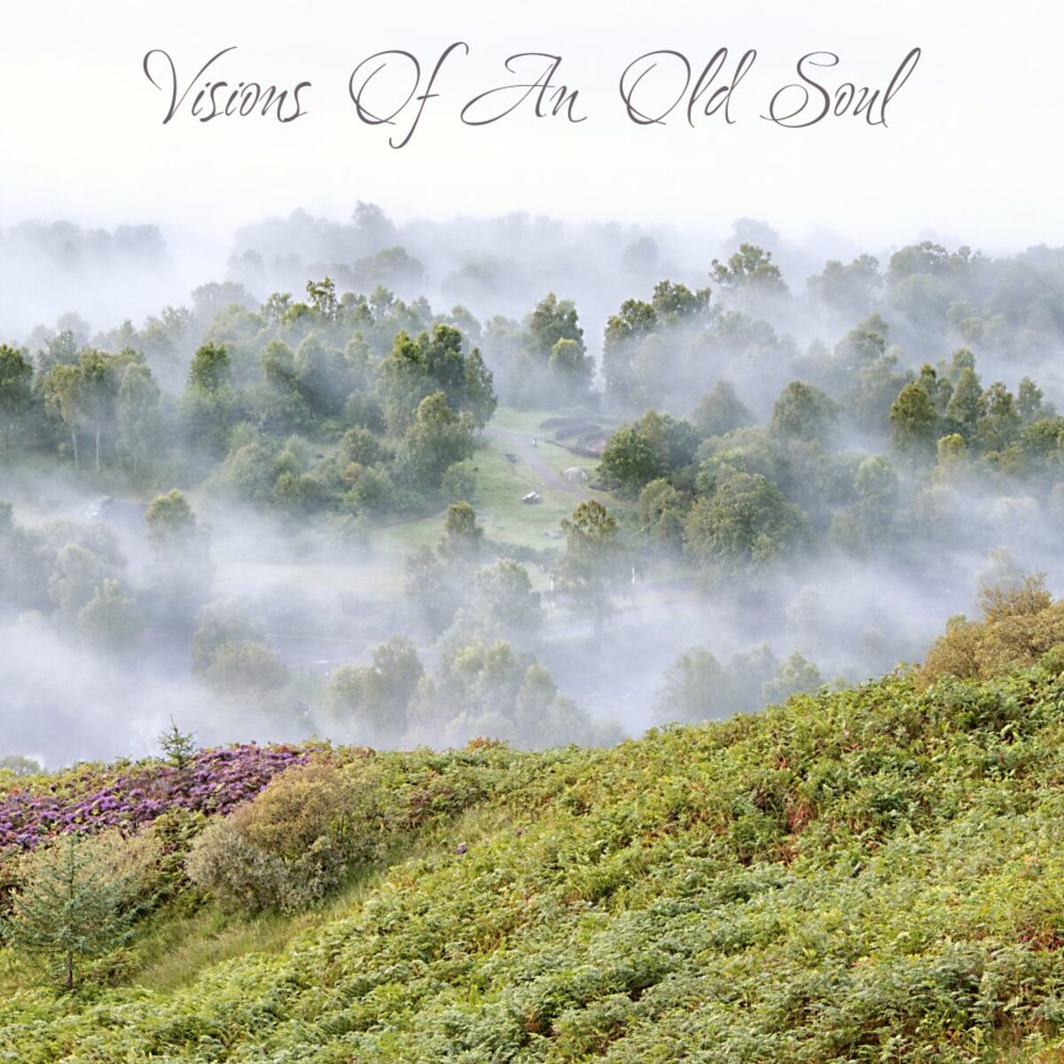 Album cover of Visions Of An Old Soul