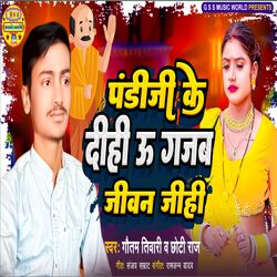 Cover of Padiji Ke Dihi U Gajab Jiwan Jihi