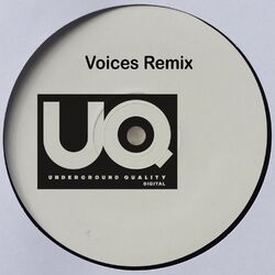 Cover of Voices (Remixes)