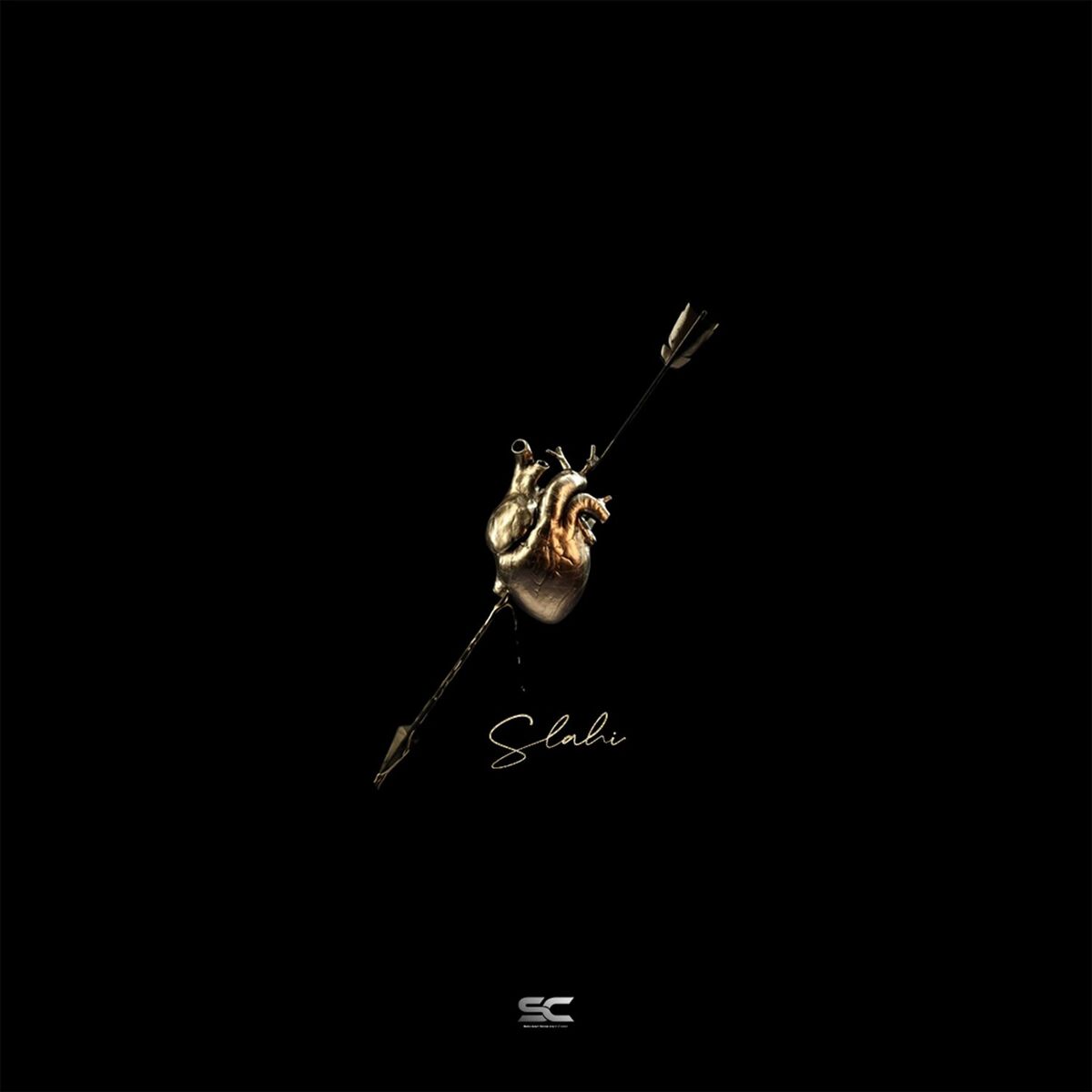 Album cover of Slahi