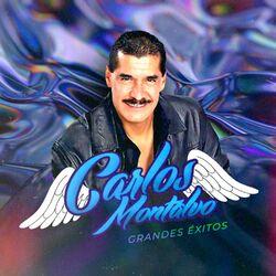 Cover of Grandes Éxitos
