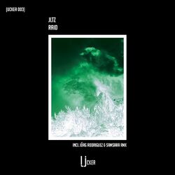 Cover of Raid