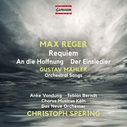 Cover of Reger & Mahler: Works