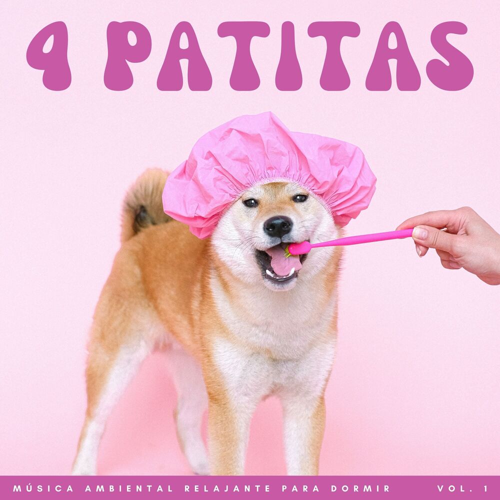 Picture of 4 Patitas: Música Ambiental Relajante Para Dormir Vol. 1