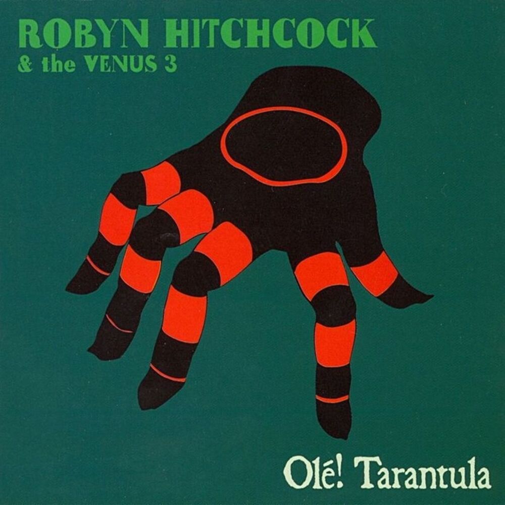 Picture of Ole! Tarantula