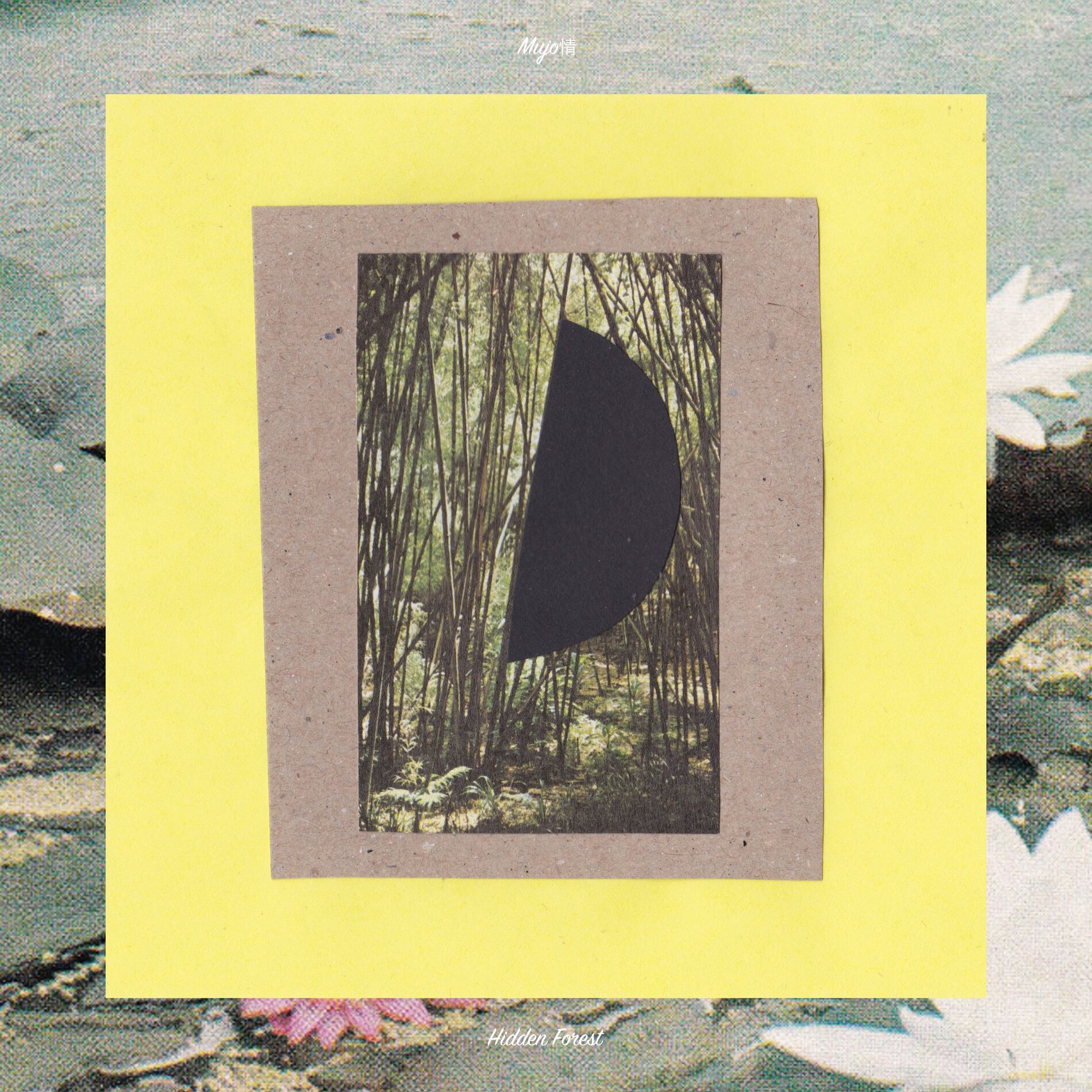 Album cover of Hidden Forest