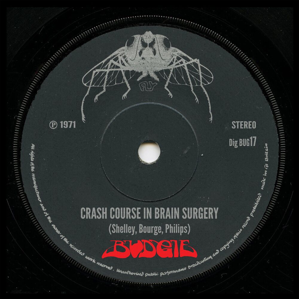 Picture of Crash Course In Brain Surgery (2013 Remaster)