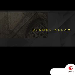 Cover of Le Youyou Des Anges