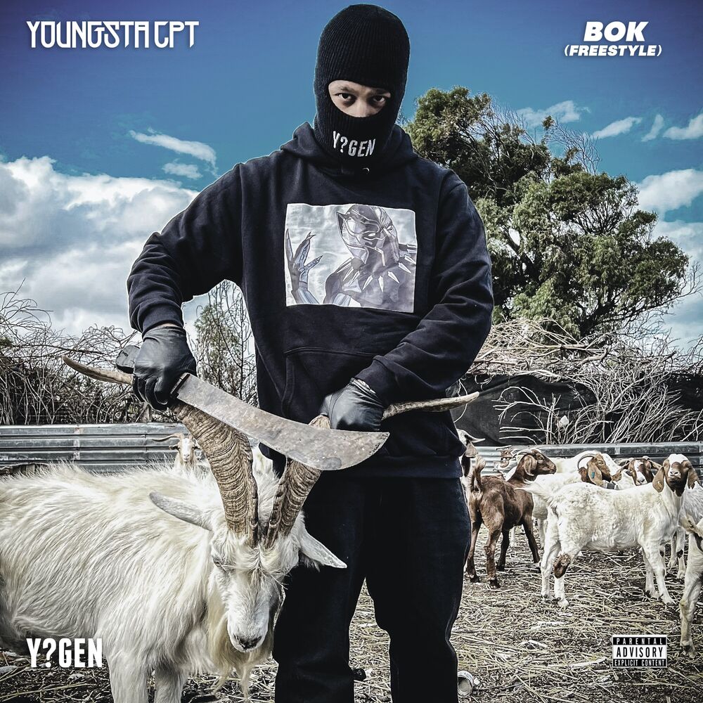 Picture of BOK Freestyle
