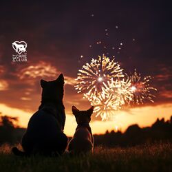 Cover of Help Your Dog Tolerate Fireworks (Audio Therapy for Pets)