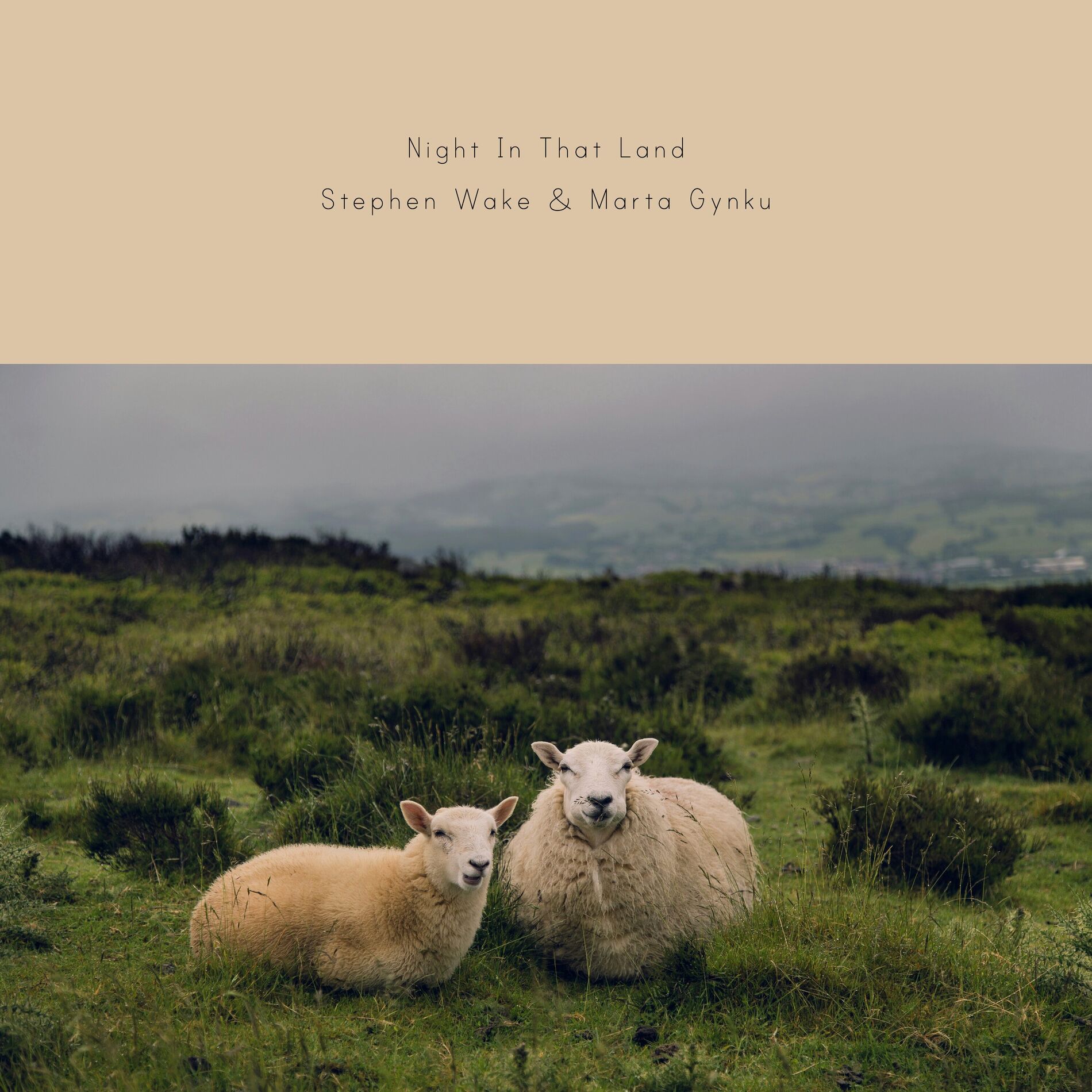 Album cover of Night In That Land